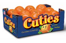 halo cuties halo cuties